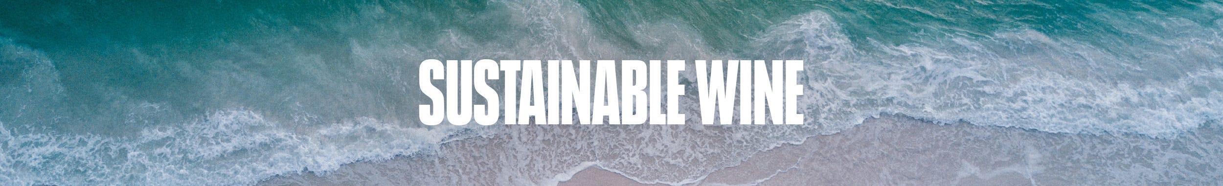 Sustainability Mixed Case