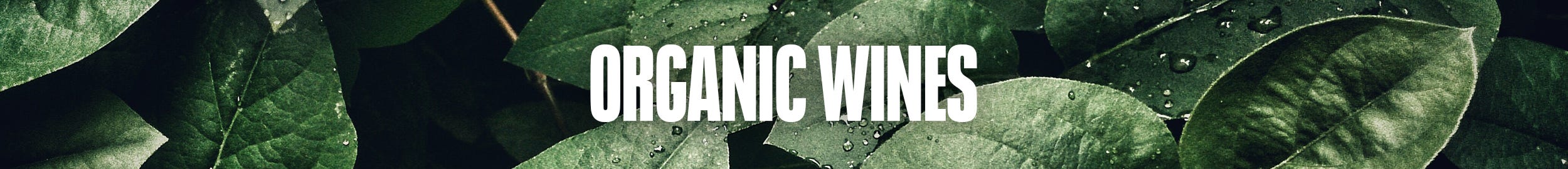 Organic & Biodynamic Wine
