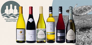 Sustainability Mixed Case