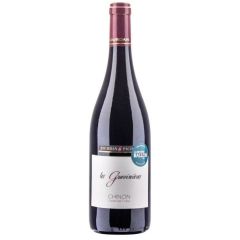 Chinon "Gravenières", Domaine Jourdan, Biodynamie