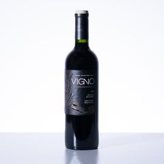 Morandé Adventure, Vigno Carignan