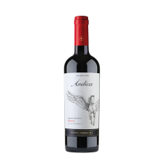 Torres Chile Andica Organic Merlot Gran Reserva