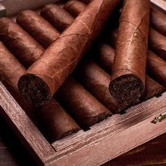 Partagas Series D No.4 (12.4 cm)