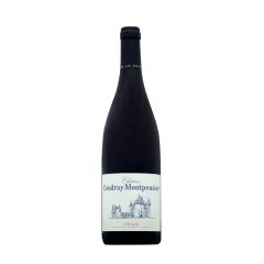 Château Coudray-Montpensier Chinon, Loire