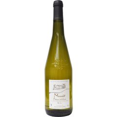 Muscadet-coteaux-de-la-Loire sur Lie