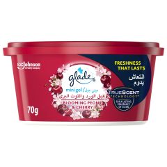 Glade, Mini Gel Peony, 30x70g
