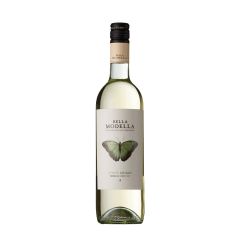 Bella Modella Pinot Grigio, Terre de Chieti, Abruzzo IGT