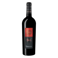 Numanthia Termes Tempranillo