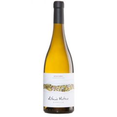 Antonio Montero Godello
