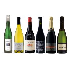 Tasting Case